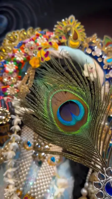 Peacock Feather Close-Up With Sacred Jewelry And Blue Eye
