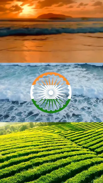 India Flag Over Ocean And Tea Fields Sunrise Scene