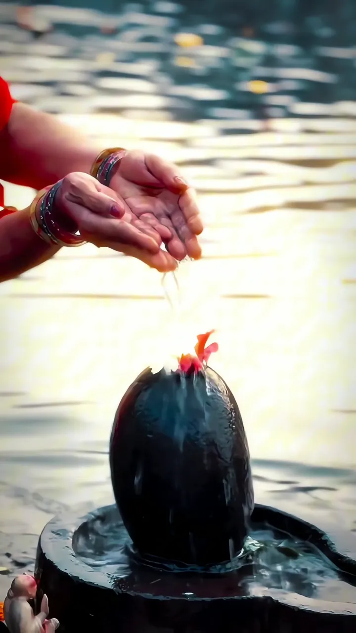 Shiva Lingam Ritual With Water And Red Flower