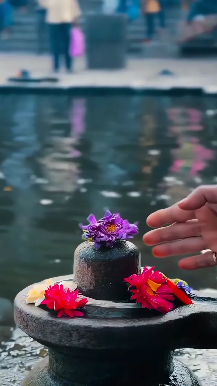 Shiva Lingam Sacred Water Ritual With Lotus Flowers