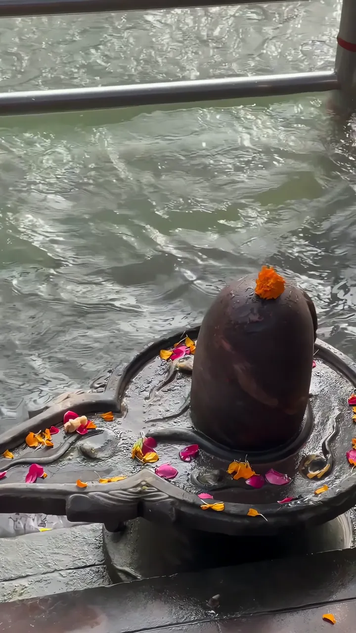 Shiva Lingam Sacred Water Temple Ritual With Marigold Petals