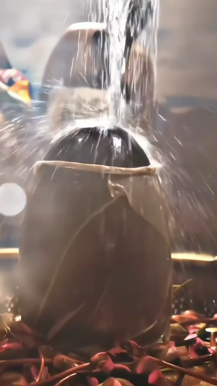Mahadev Being Bathed In Water With Lotus Petals And Steam