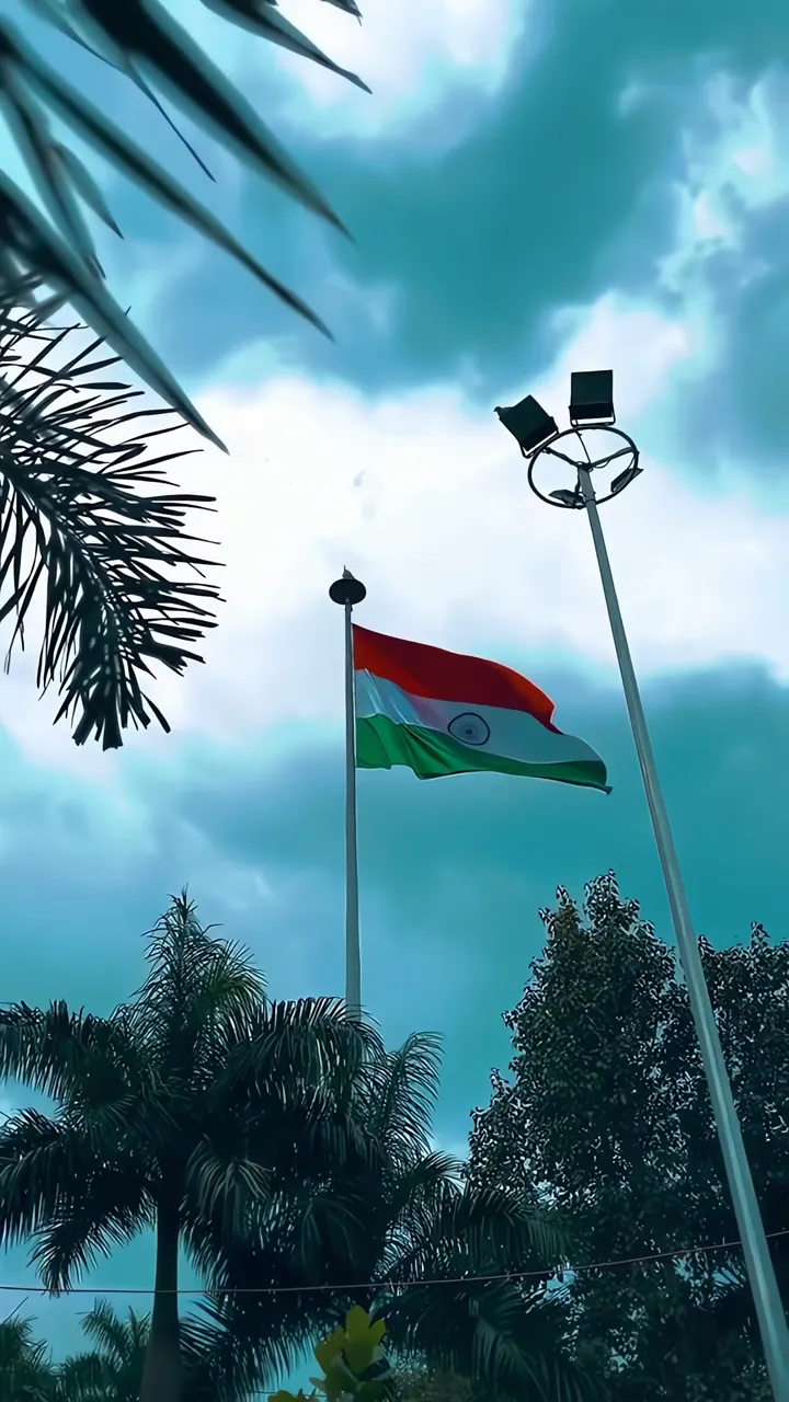 India Flag Flying High On Republic Day With Palm Trees And Blue Sky