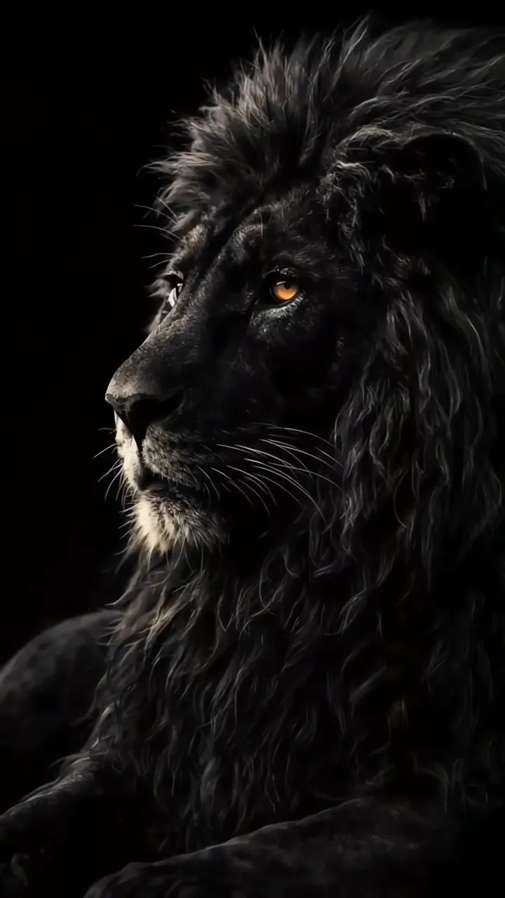 Majestic Black Lion With Glowing Amber Eyes