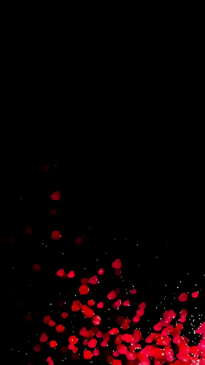 Red Rose Petals Falling On Black Background With Sparkles