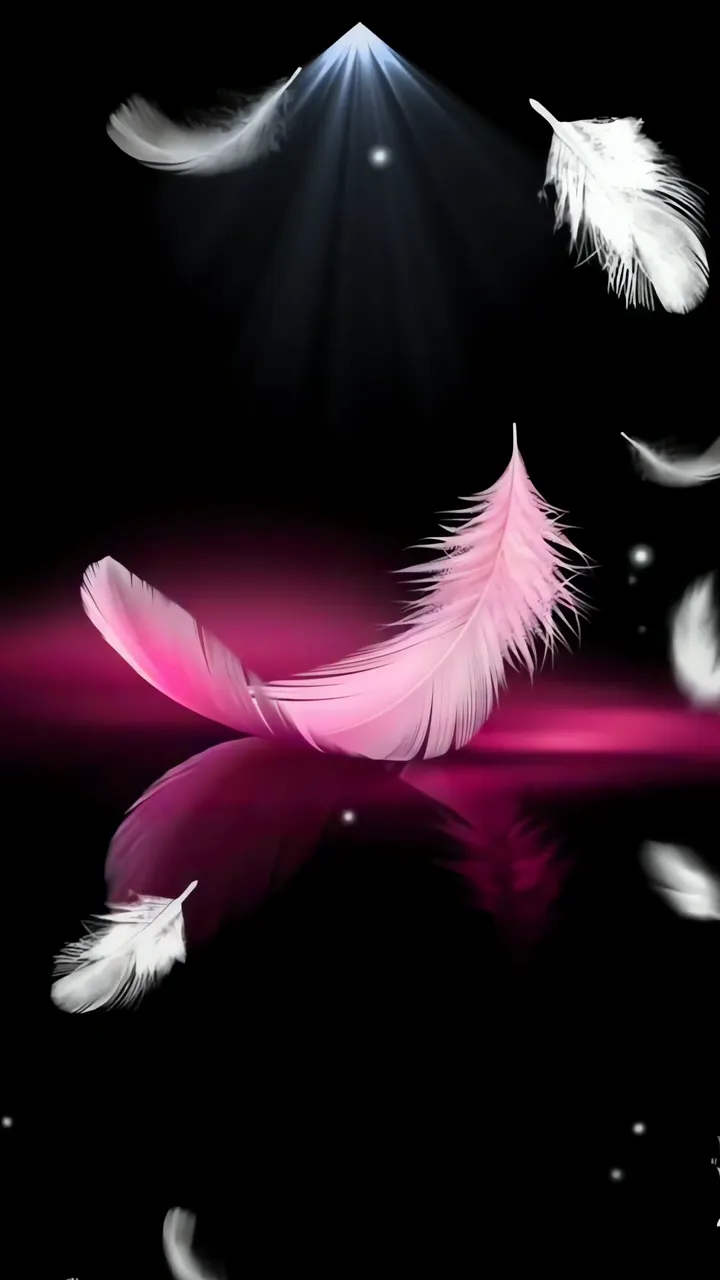 Pink Feather Floating With White Feathers And Divine Light