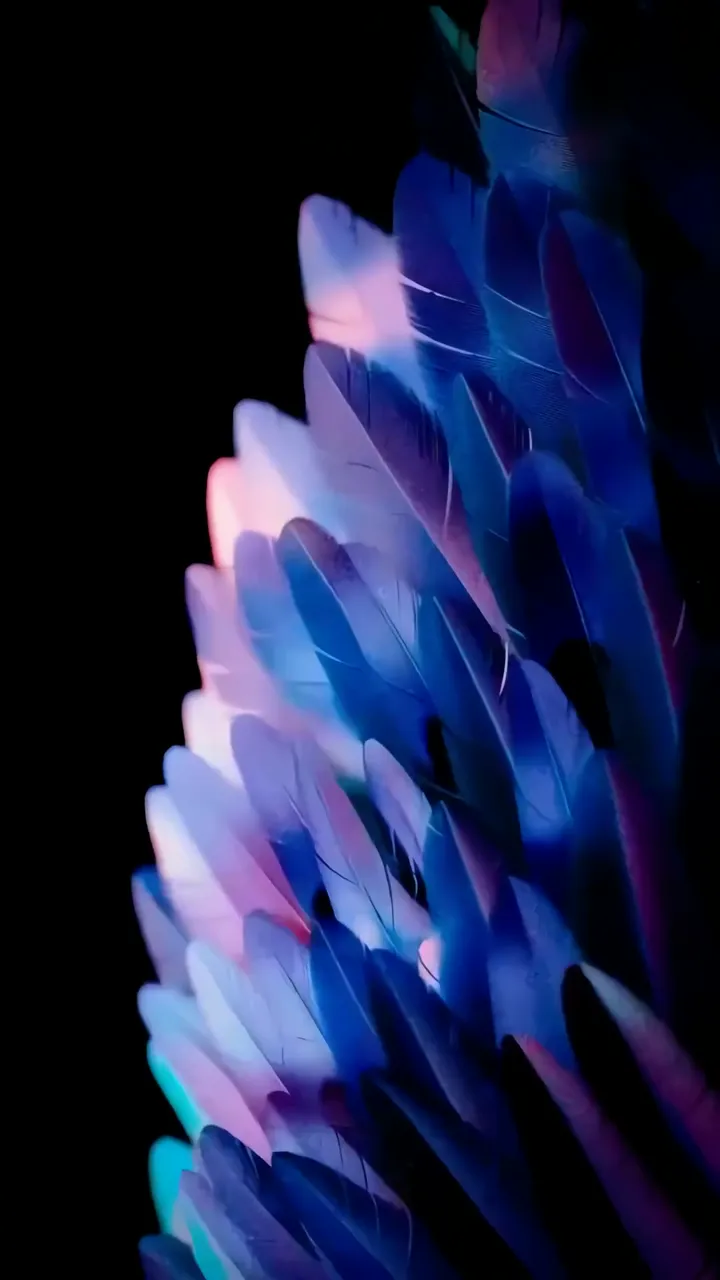 Glowing Feathers With Blue And Pink Neon Glow