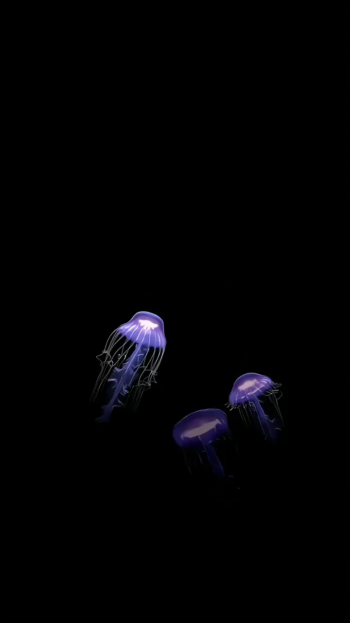 Purple Jellyfish Glowing In Dark Amoled Screen