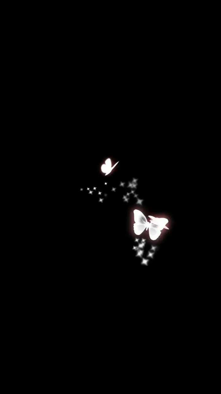 Glowing White Butterflies With Star Trails On Black Background