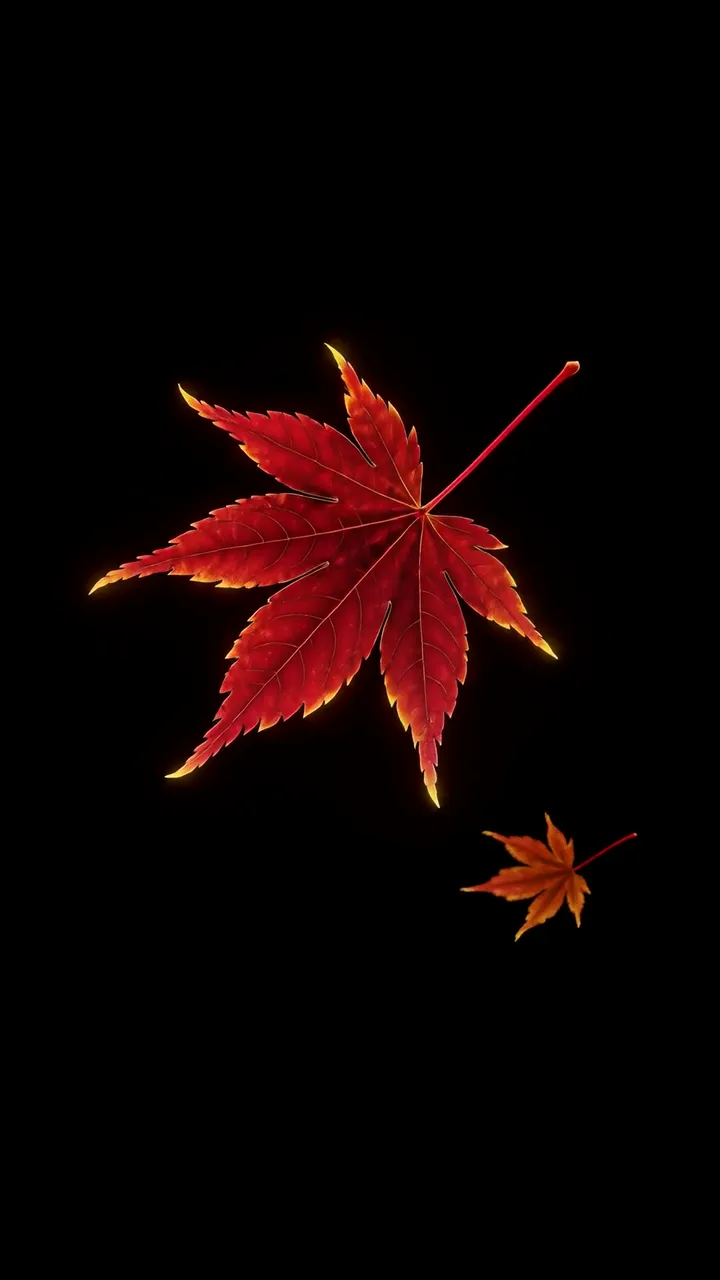 Glowing Red Maple Leaf Autumn Scene With Floating Leaves